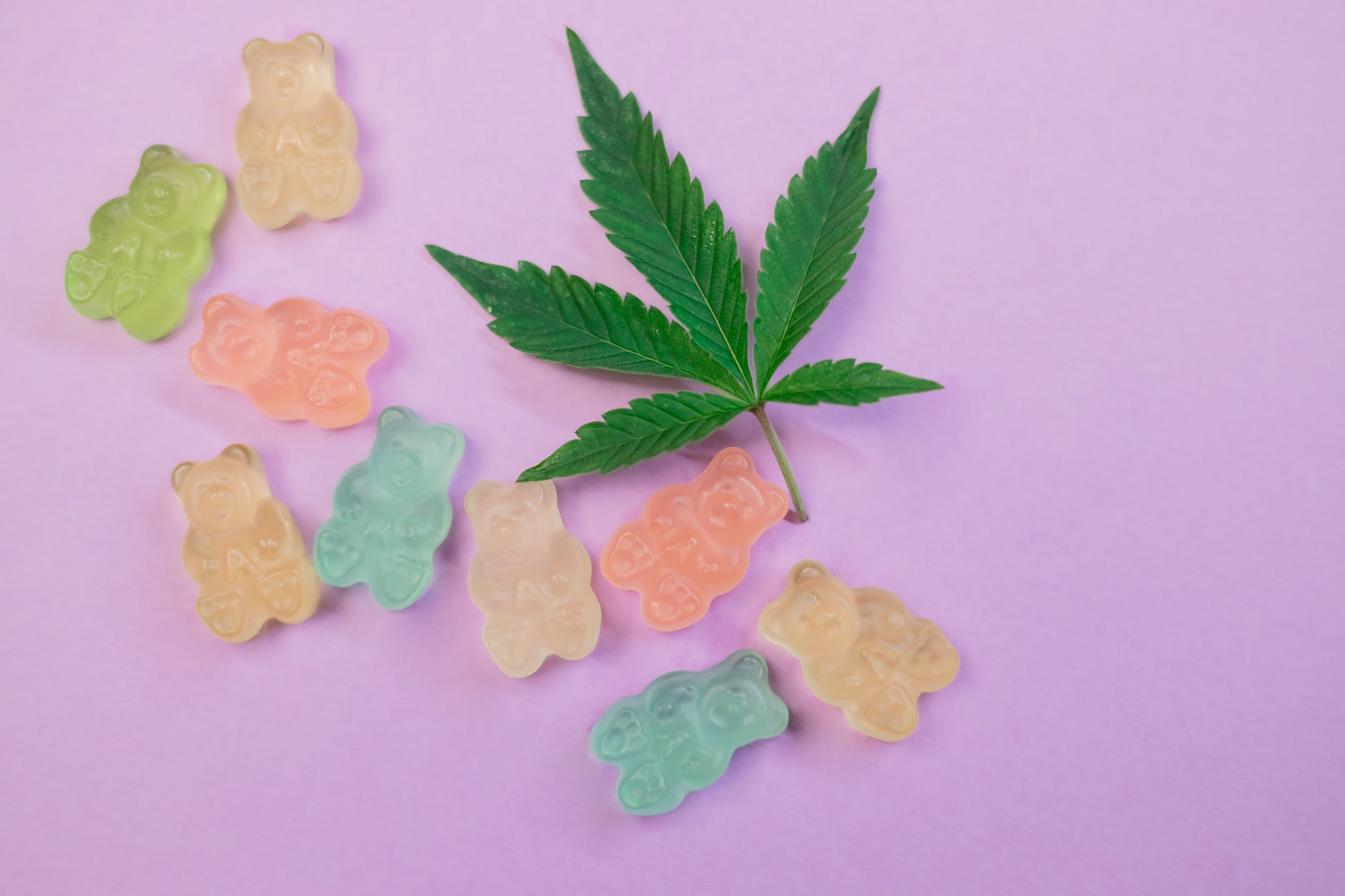 Exploring the World of Cannabis Strains: A Comprehensive Guide