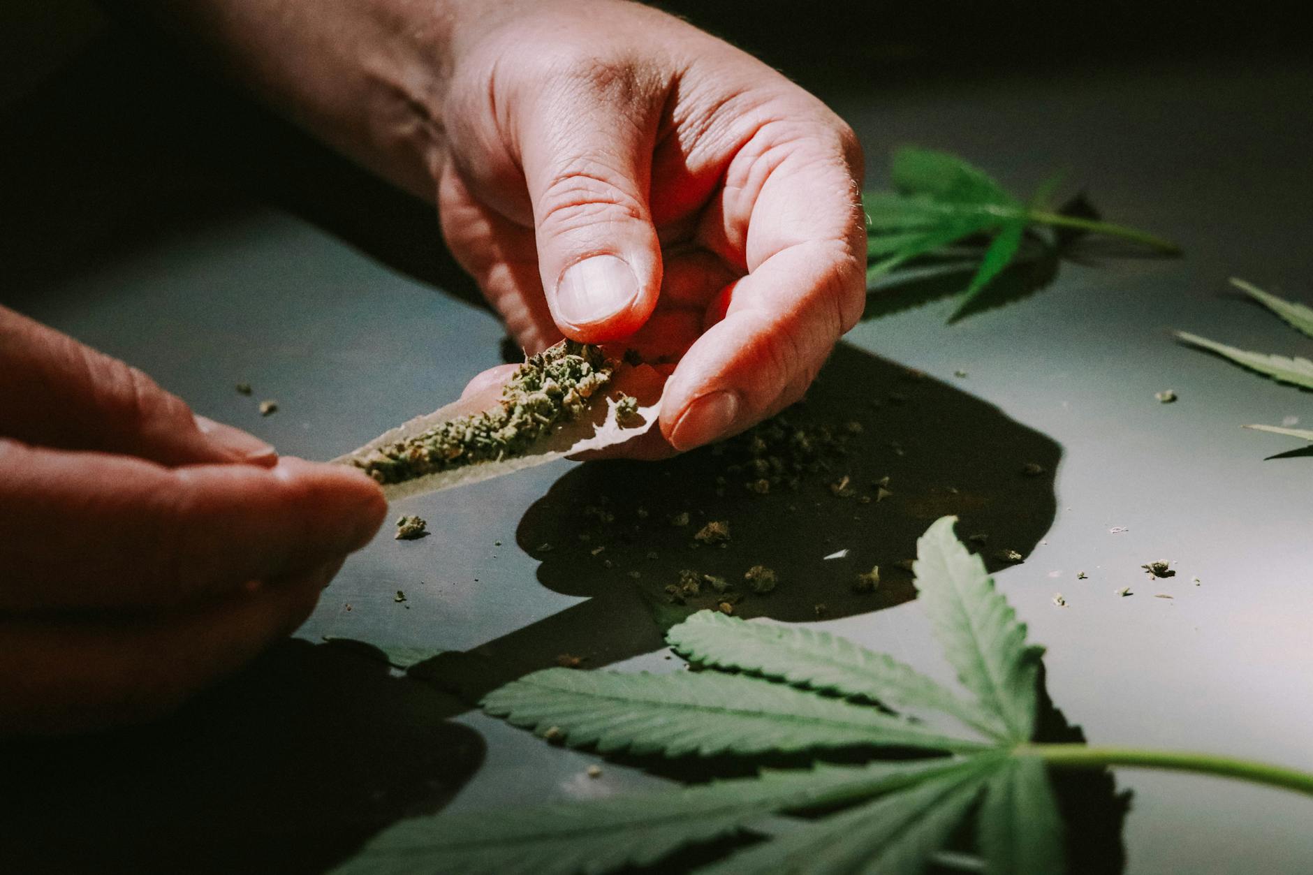The Therapeutic Potential: Unearthing the Benefits of Using Cannabis for Medicinal Purposes